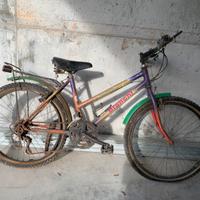 Bici Bianchi