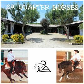2a quarter horse asd .Scuola di equitazione