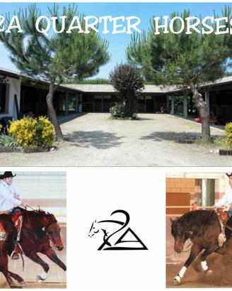 2a quarter horse asd .Scuola di equitazione