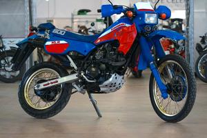 Kawasaki KLR 600 1986 KL iscritta FMI