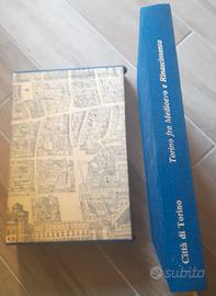 Torino fra Medioevo e Rinascimento