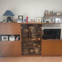 Mobili del soggiorno