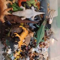 animali