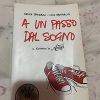 A un passo dal sogno – Il romanzo di Amici