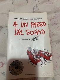 A un passo dal sogno – Il romanzo di Amici