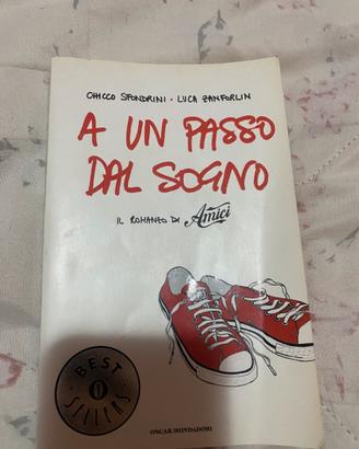 A un passo dal sogno – Il romanzo di Amici