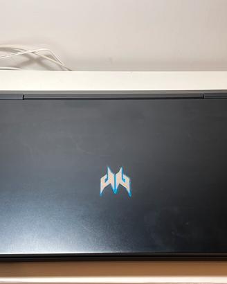 Acer Predator Helios 300 17,3”