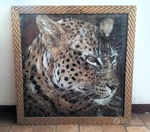 Ritratto di leopardo