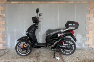 Scooter elettrico br-1 1000w