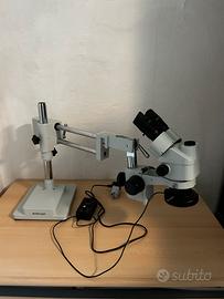 Microscopio stereoscopico trinoculare amscope