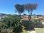 Immagine 12