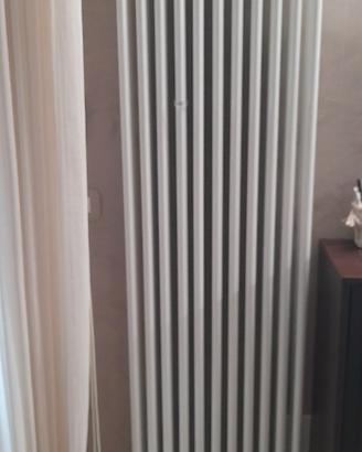 radiatore irsap