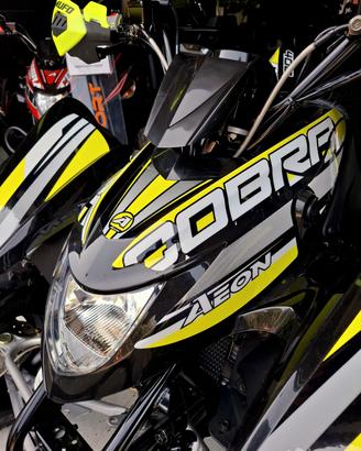 quad Aeon Cobra 400 SP