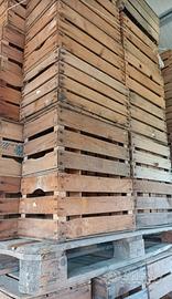 cassette di legno per frutta e verdura patate
