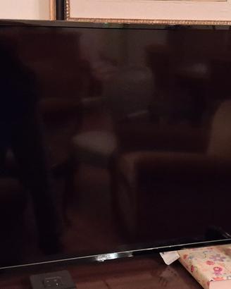 televisore Tele System 42" PALCO42 LED10