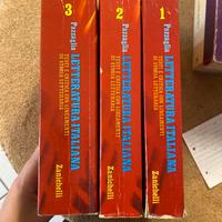 Libri letteratura italiana