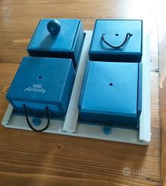 Gioco interattivo activity cani-scoperta-premietti