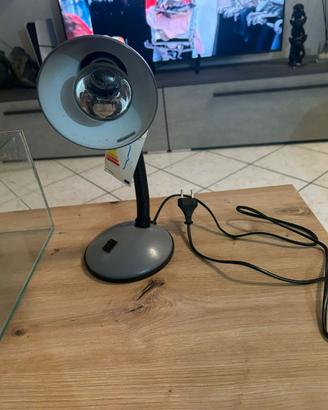 tecla 30×70 x tartaruga d'acqua più lampada