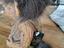 Immagine 3