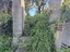 Immagine 22