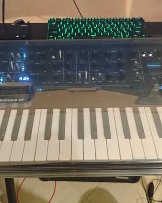 Korg minilogue xD