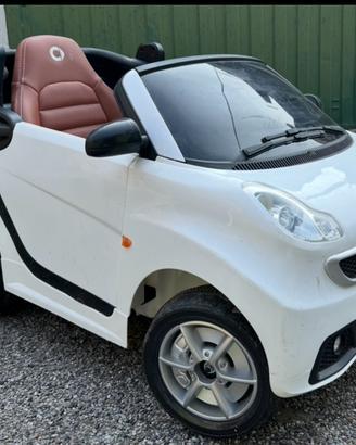 AUTO  ELETTRICA