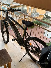 Bicicletta pedalata assistita
