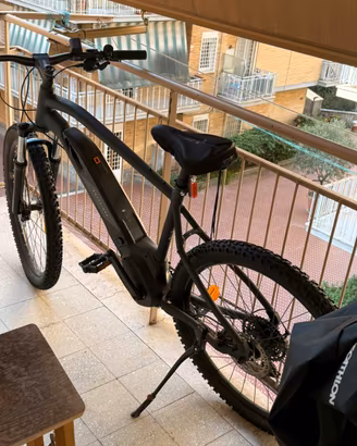 Bicicletta pedalata assistita