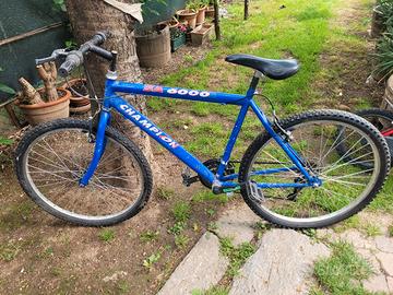 rampichino blu