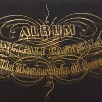 Album principali castelli dei Savoia in piemonte