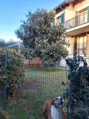 Ampio appartamento con giardino privato