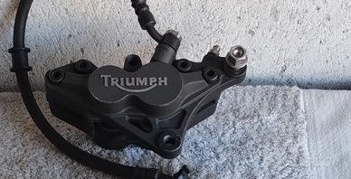 pinze freni Triumph e Suzuki 