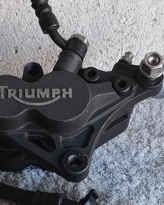 pinze freni Triumph e Suzuki 