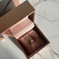 Andllo solotario Salvini