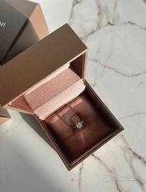 Andllo solotario Salvini