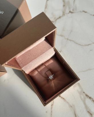 Andllo solotario Salvini