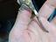 Immagine 1