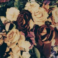 Dave Stewart - Honest