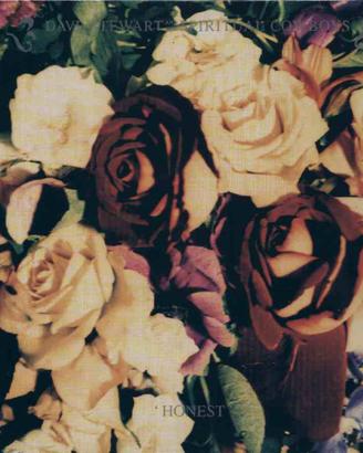 Dave Stewart - Honest