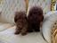 Immagine 23