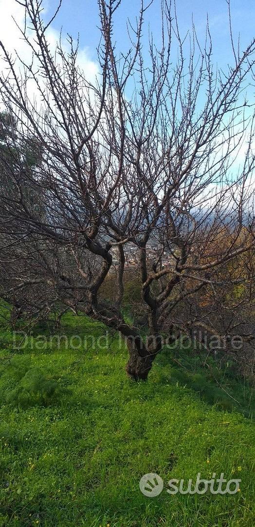 Proprietà agricola con casolare a Linguaglossa - Vista 2