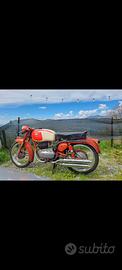 Gilera 175 rosso extra