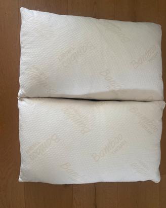 Coppia guanciali/cuscini da letto