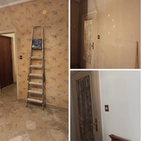 Imbianchino, muratore, indoratore