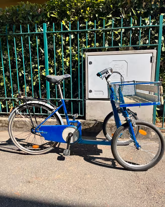 Bici cargo
