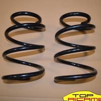 TOP RICAMBI molle posteriori per porsche 987