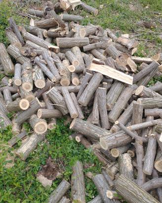 Legna da ardere
