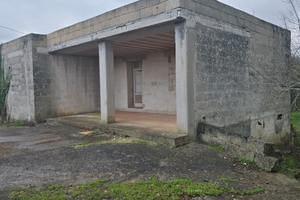 Fabbricato + terreno con ulivi