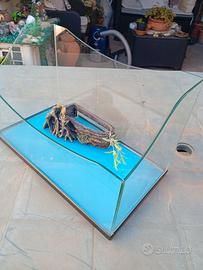 Acquario per tartarughine