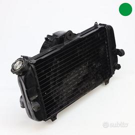 Radiatore acqua YAMAHA TDM